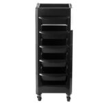 Hairdressing Assistant Gabbiano 030 Black 2