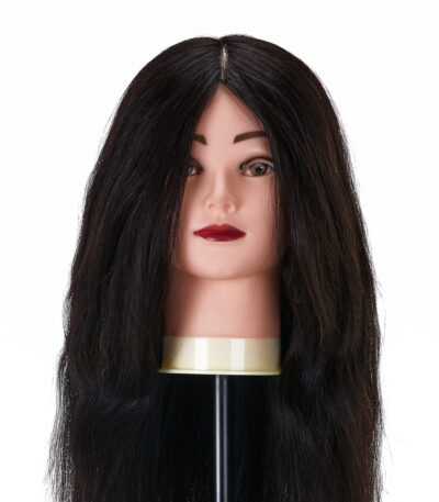 Cabezal De Peluquería Gabbiano Wz1