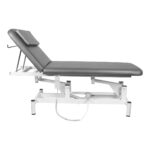 Cama Eléctrica De Masaje 079 1 Intensi. Gris 1