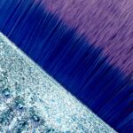 Cepillo Para Polvo Con Forma De Concha 1