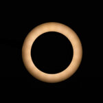 Lámpara Led De Anillo De Serpiente Lámpara De Escritorio Negra 4