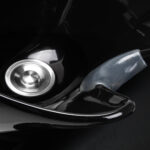 Lavacabellos Gabbiano Prato Gold - Negro 7