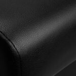 Lavapelos Gabbiano Emma Black Gold 10