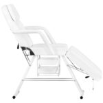 Sillón Cosmético Básico 202 + Mesa Cosmética 1040 + Lámpara Lupa Led S5 6