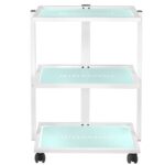 Sillón Cosmético Básico 202 + Mesa Cosmética 1040 + Lámpara Lupa Led S5 9