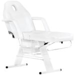 Sillón Cosmético Básico 202 + Mesa Cosmética 1040 + Lámpara Lupa Led S5 4