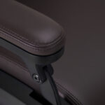 Sillón De Barbero Eléctrico Gabbiano Duke Marrón 7