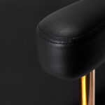 Sillón De Peluquería Gabbiano Granda Dorado Y Negro 4