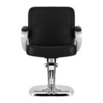 Cadeira de cabeleireiro Sistema para cabelo Za31 Preto 2